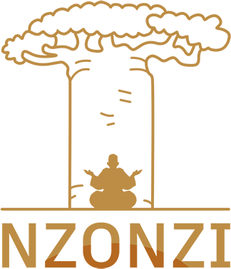 Nzonzi Studio